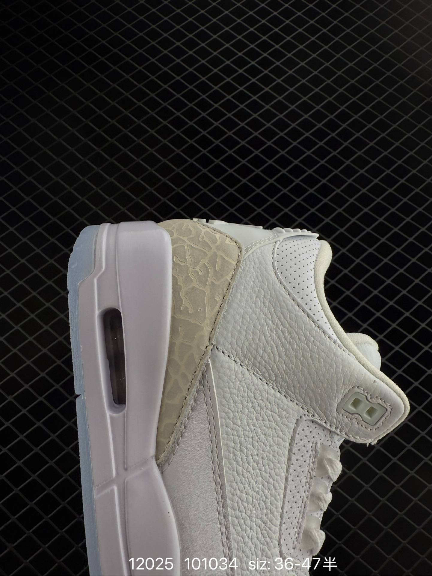 Nike Air Jordan 3 Retro SE